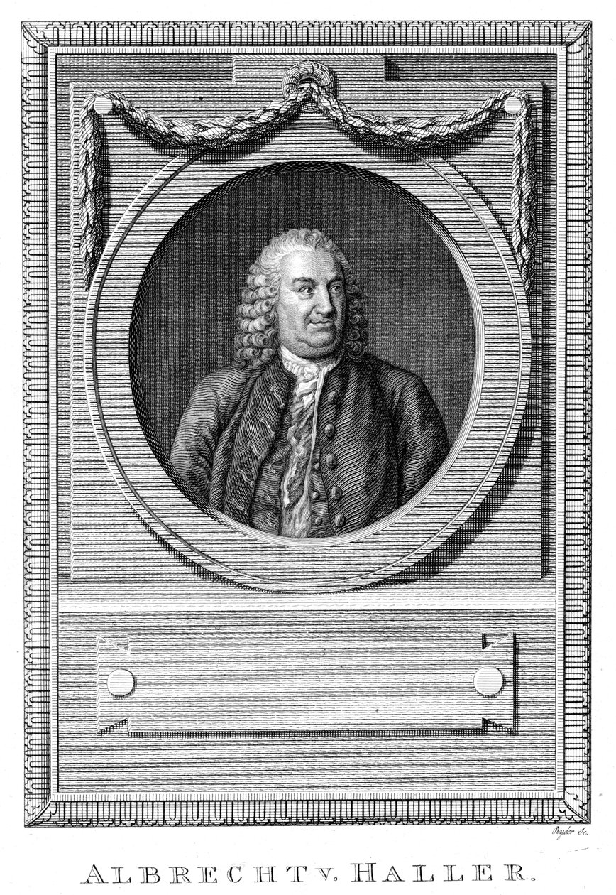 Albrecht von Haller, médico e cientista suíço, c1770 c1780 de Unbekannt