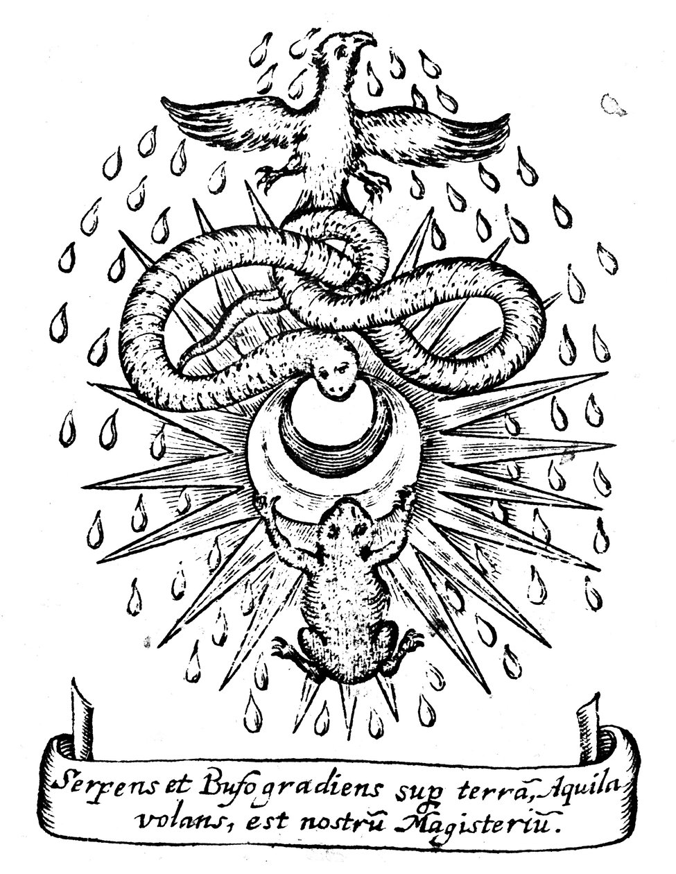 Simbolismo alquímico, 1652 de Unbekannt
