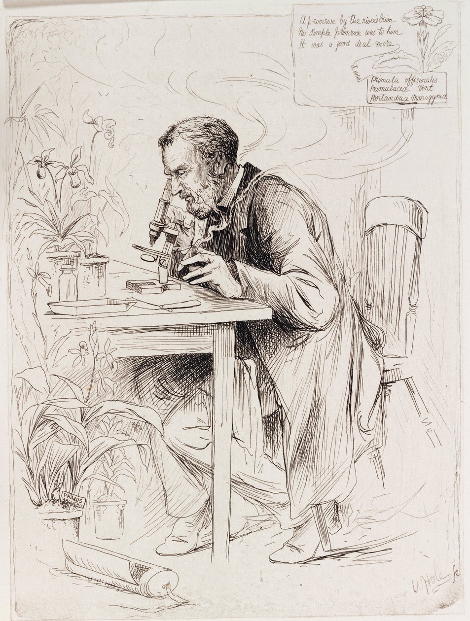 Alexander Dickson, botânico de Unbekannt