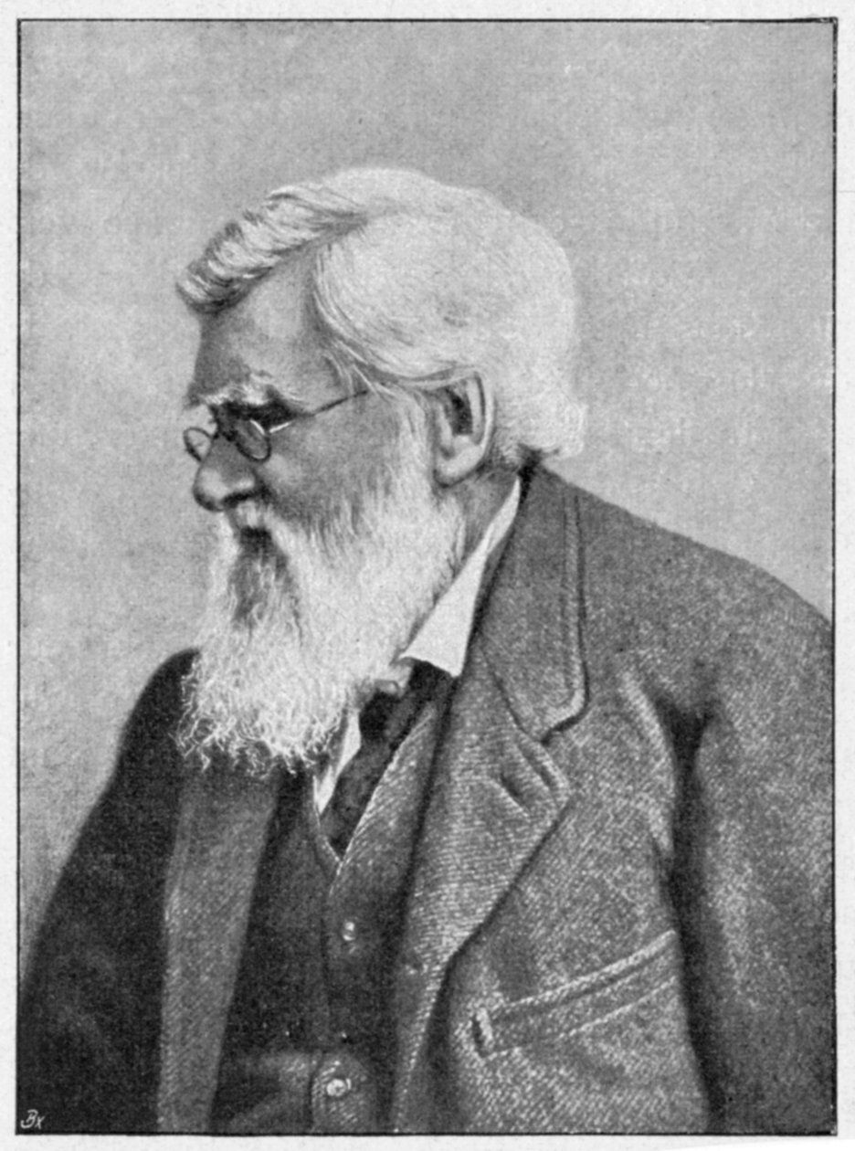 Alfred Russell Wallace, naturalista galês, c1895 de Unbekannt