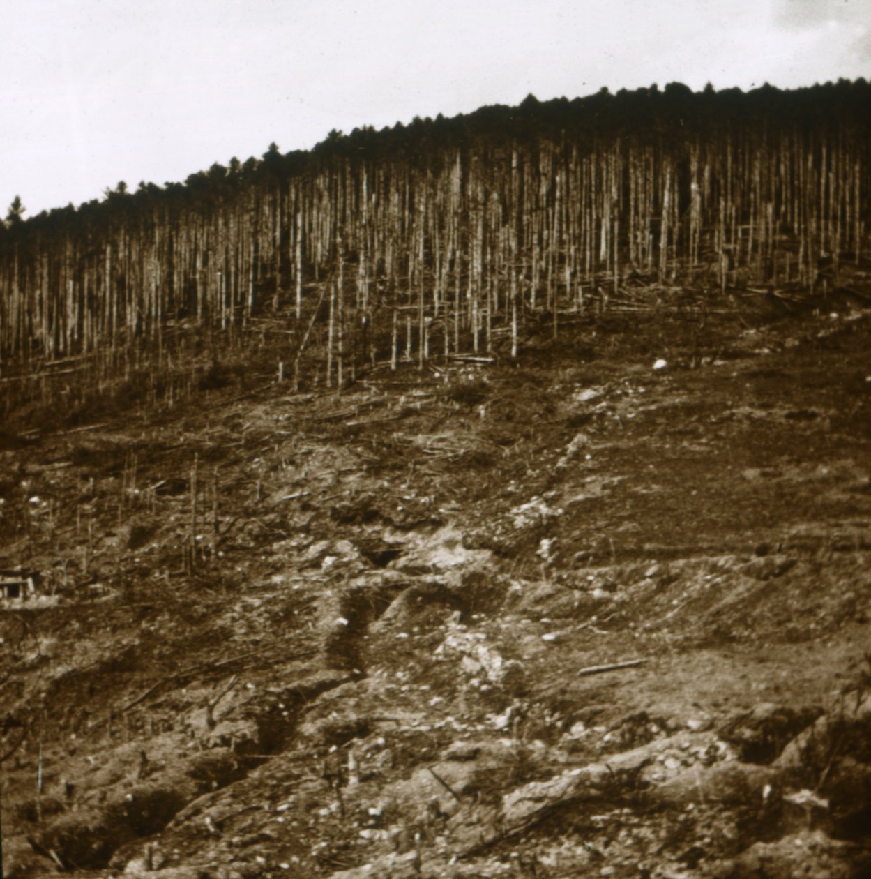 Alsácia, c1914-c1918 de Unbekannt