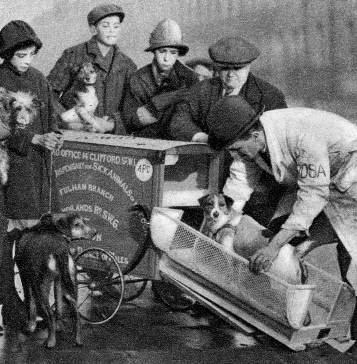Ambulância do dispensário de animais doentes dos pobres, Londres, 1926-1927 de Unbekannt
