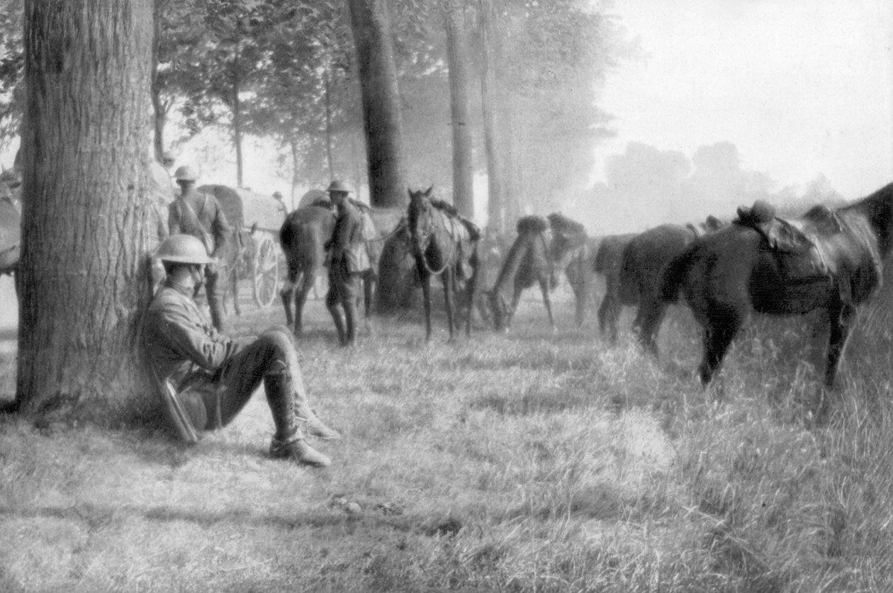 Unidade de cavalaria americana em repouso, Chemin des Dames, França, 1918 de Unbekannt