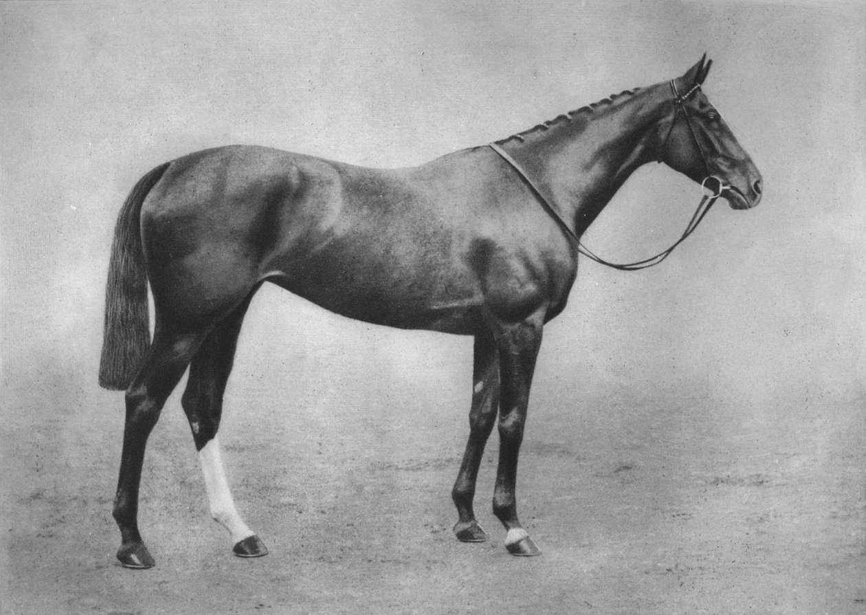 Menina Americus, 1911 de Unbekannt