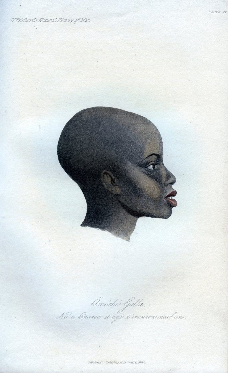 Amochi Galla, um retrato de um Galla, 1848 de Unbekannt