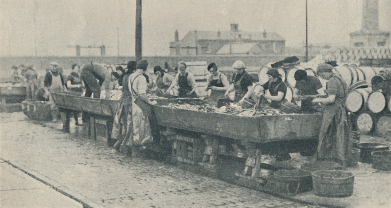 Uma parte importante da indústria. Meninas escocesas ocupadas estripando Yarmouth, 1937 de Unbekannt