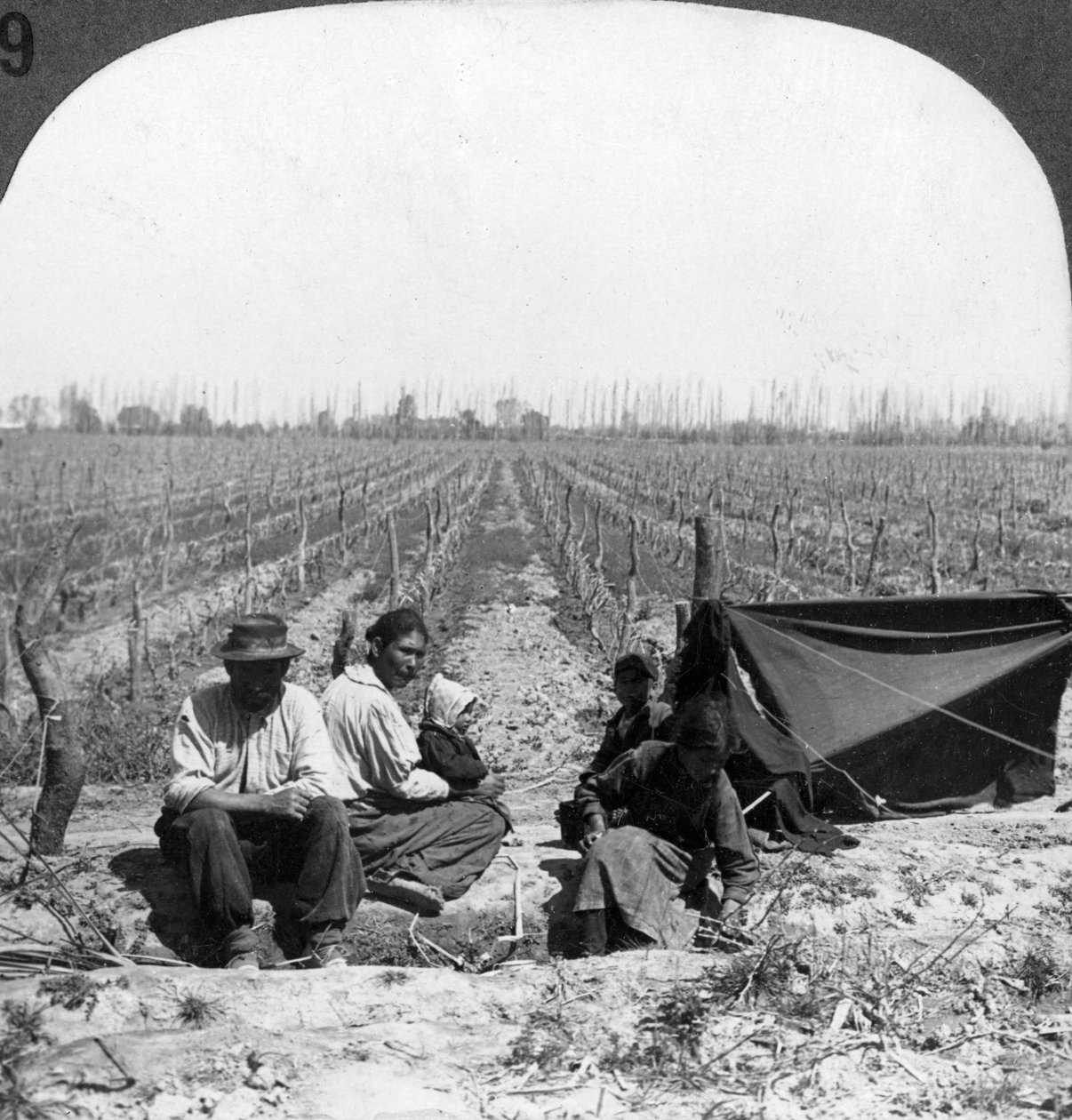Um colono italiano e sua família, Mendoza, Argentina, 1900 de Unbekannt