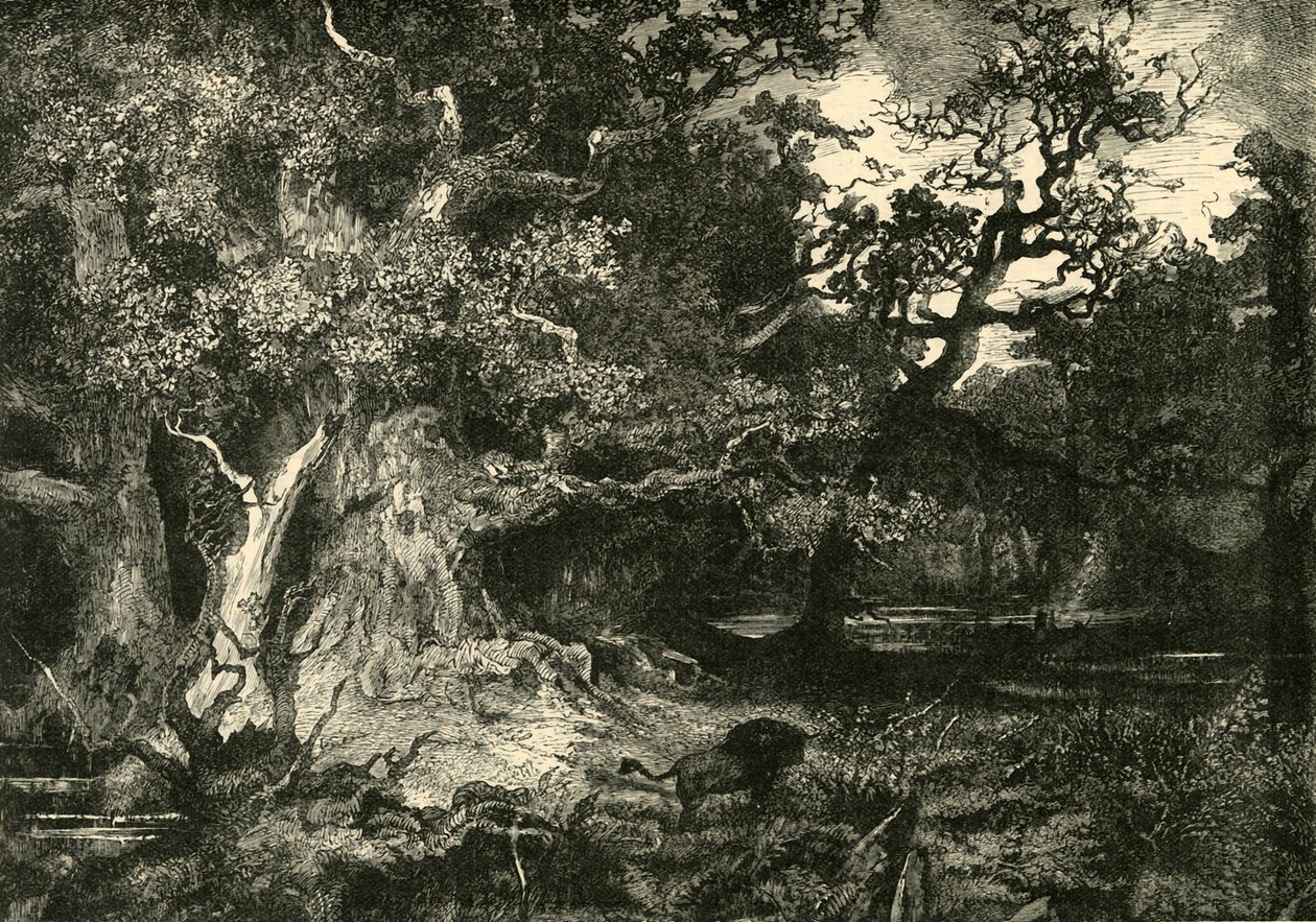 Uma antiga floresta alemã, 1890. de Unbekannt