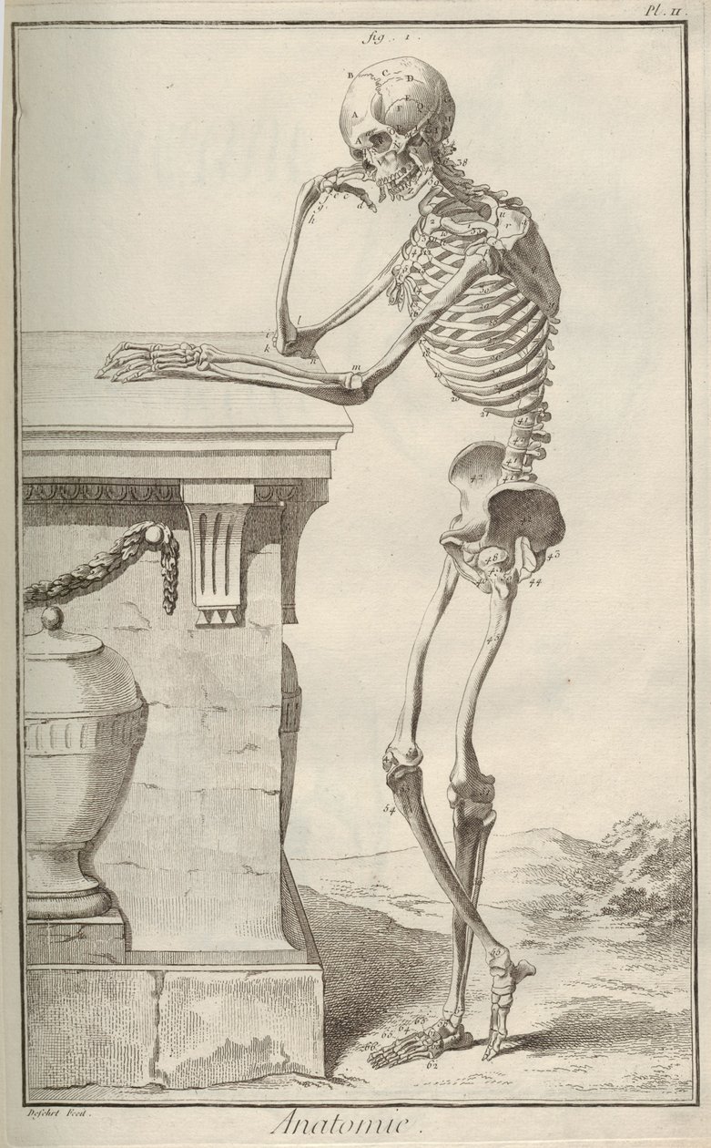 Anatomia. De Encyclopédie, de Denis Diderot e Jean Le Rond dAlembert, 1751-1765. de Unbekannt