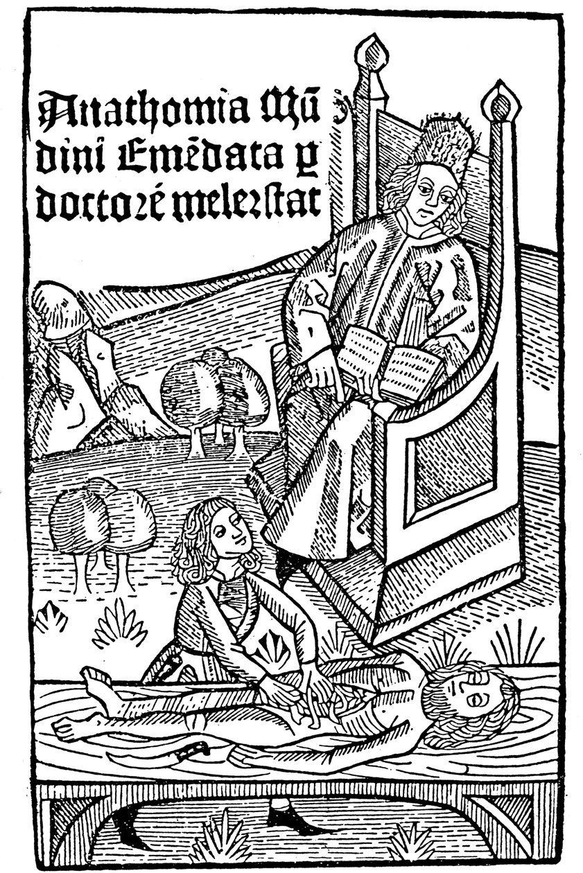 Demonstração de anatomia, 1493 de Unbekannt
