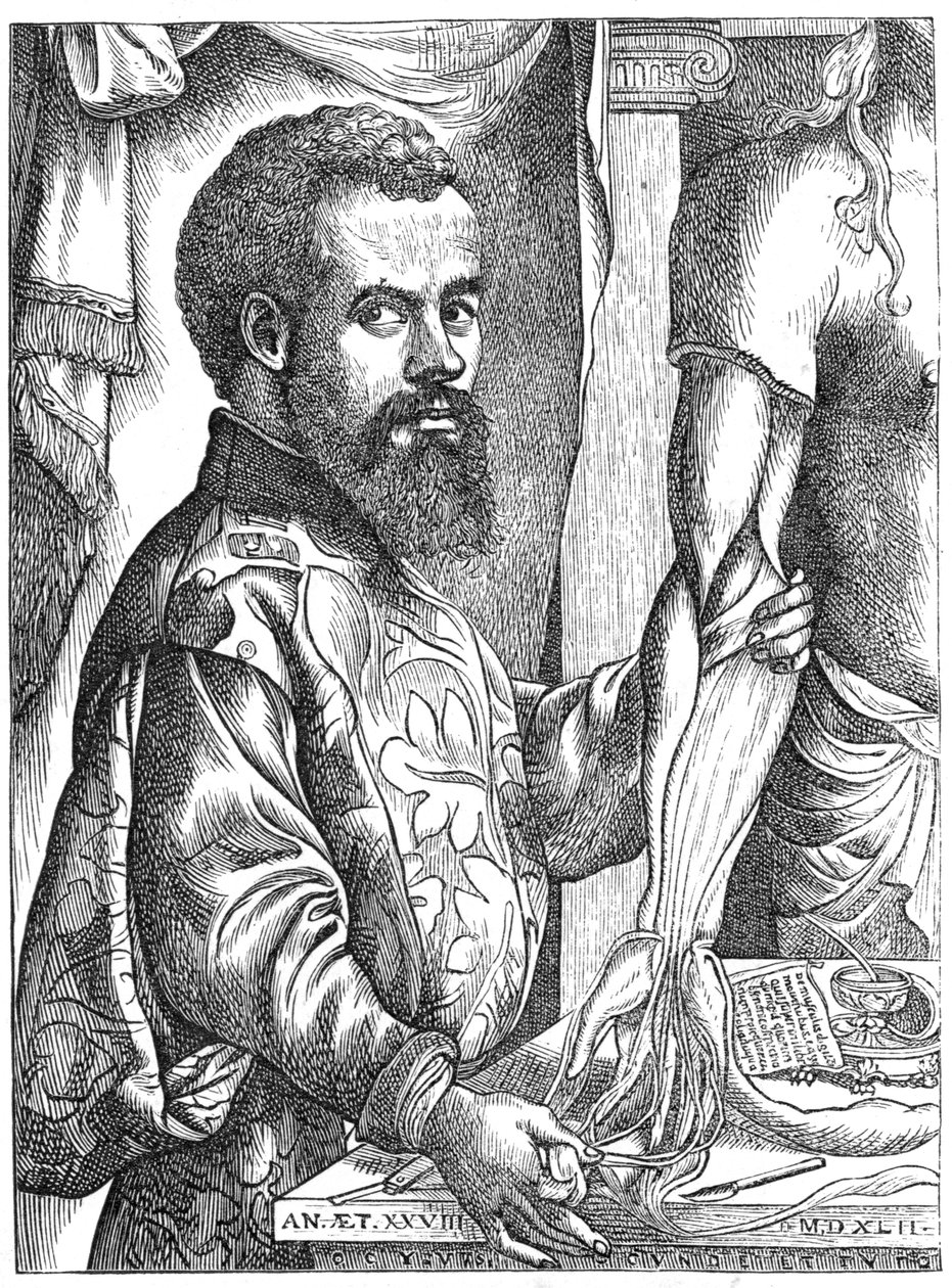 Andreas Vesalius, anatomista flamengo do século XVI de Unbekannt