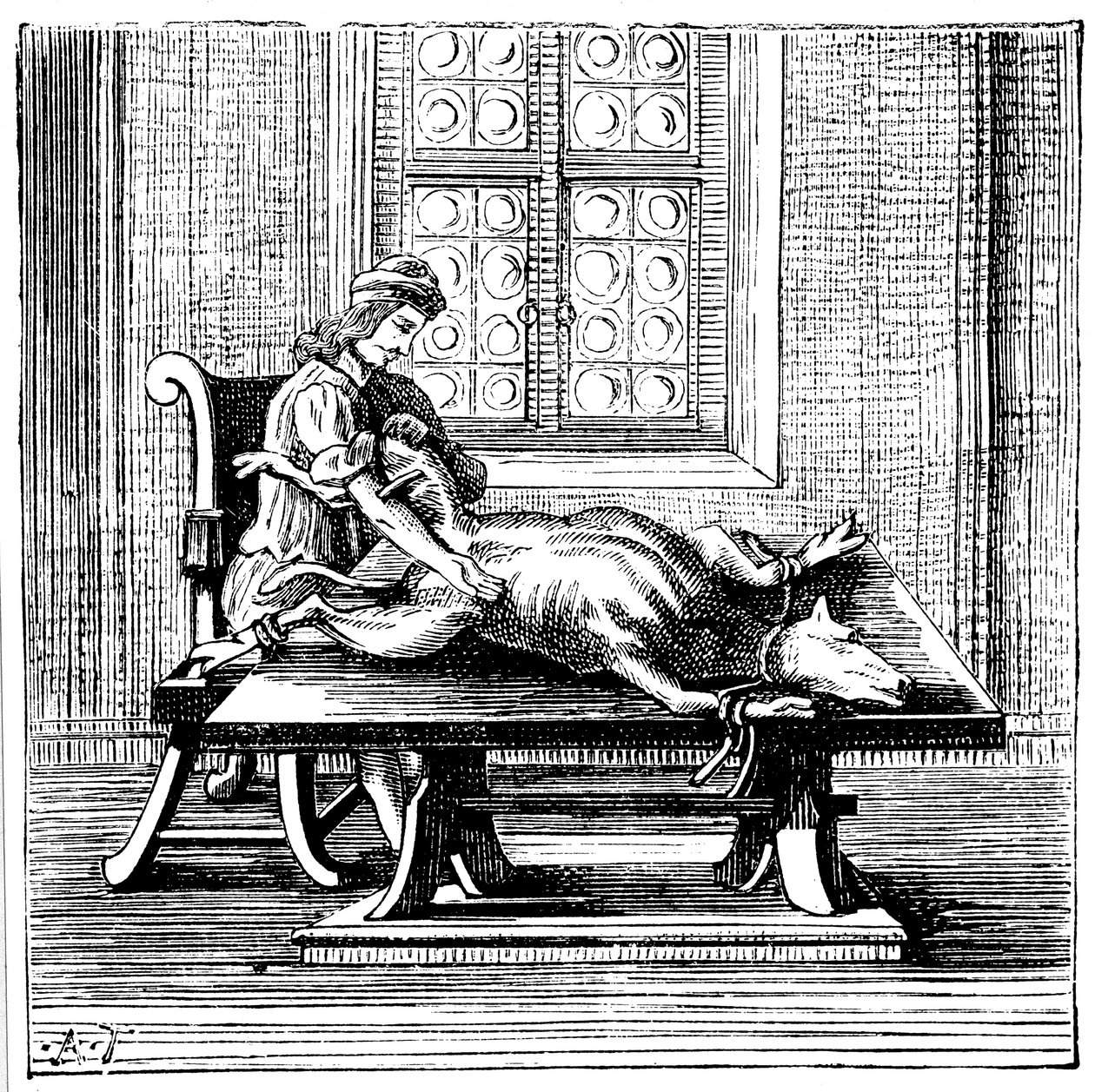 Transfusão de sangue de animal para humano, 1679 de Unbekannt