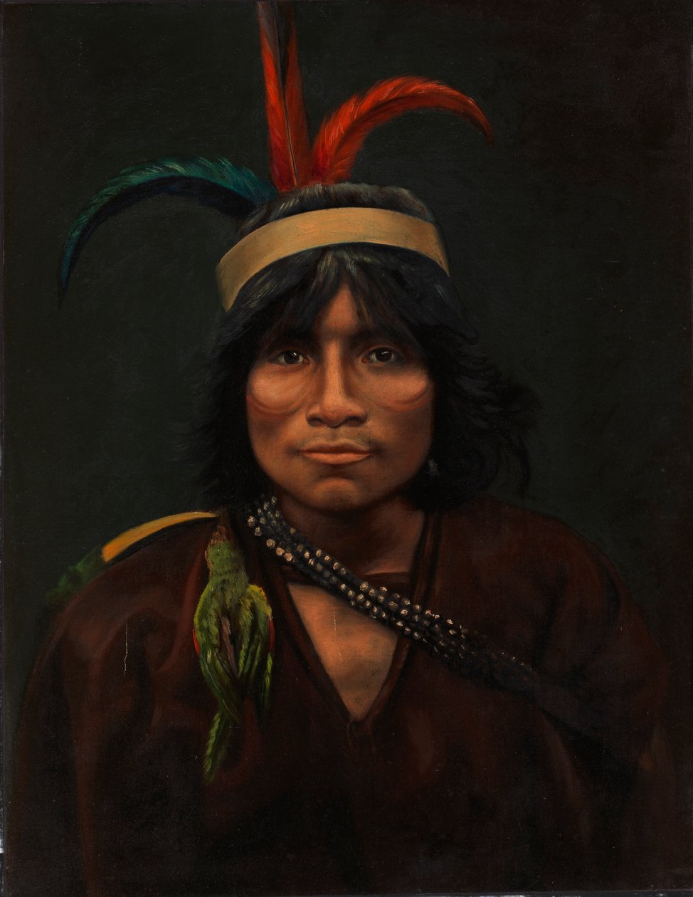 Índio Anishira, c. 1890-1892. de Unbekannt