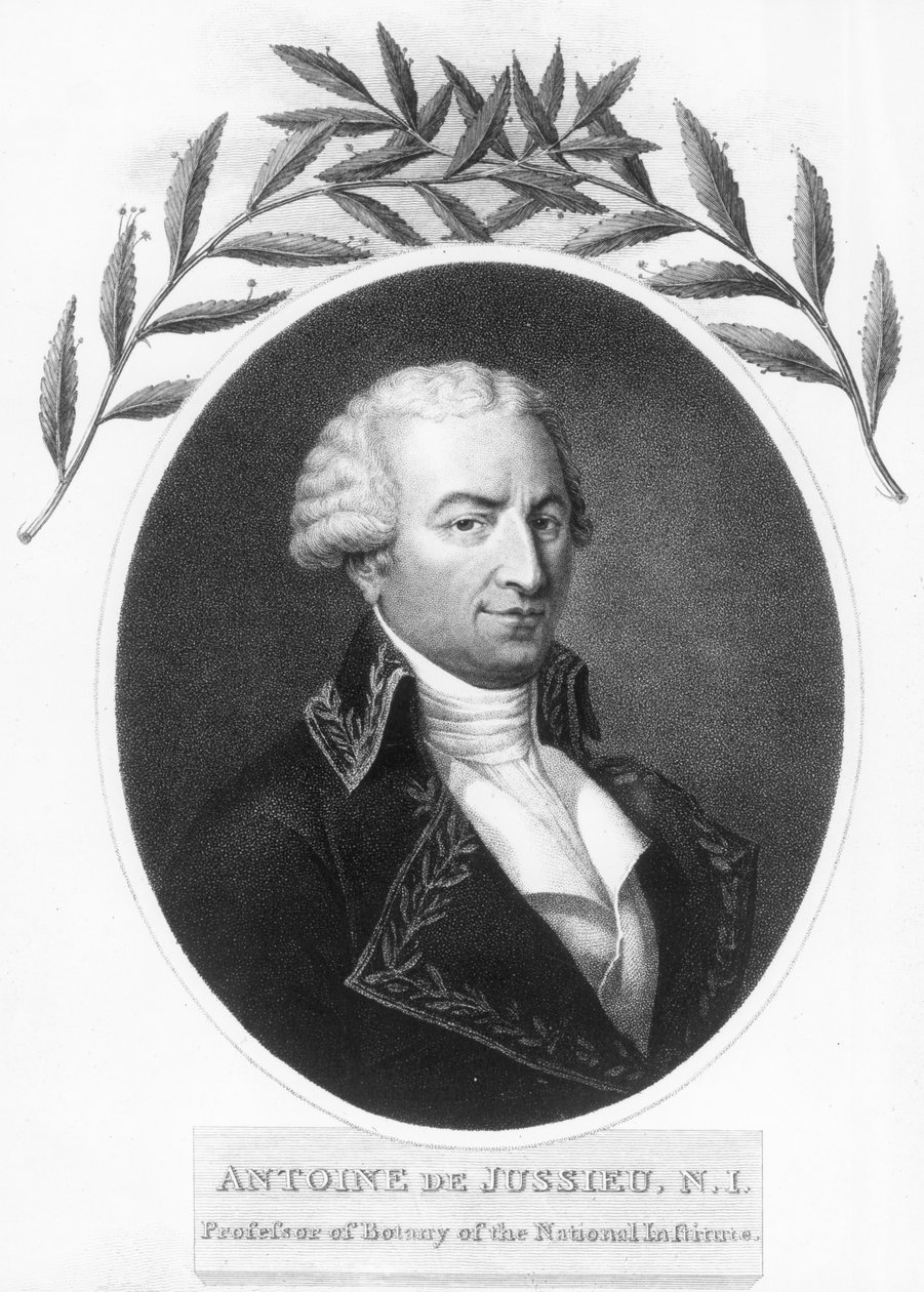 Antoine de Jussieu, botânico francês do século XVIII, 1807 de Unbekannt