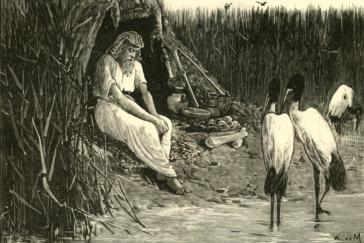Anise escondida nos pântanos do Delta, 1890. de Unbekannt