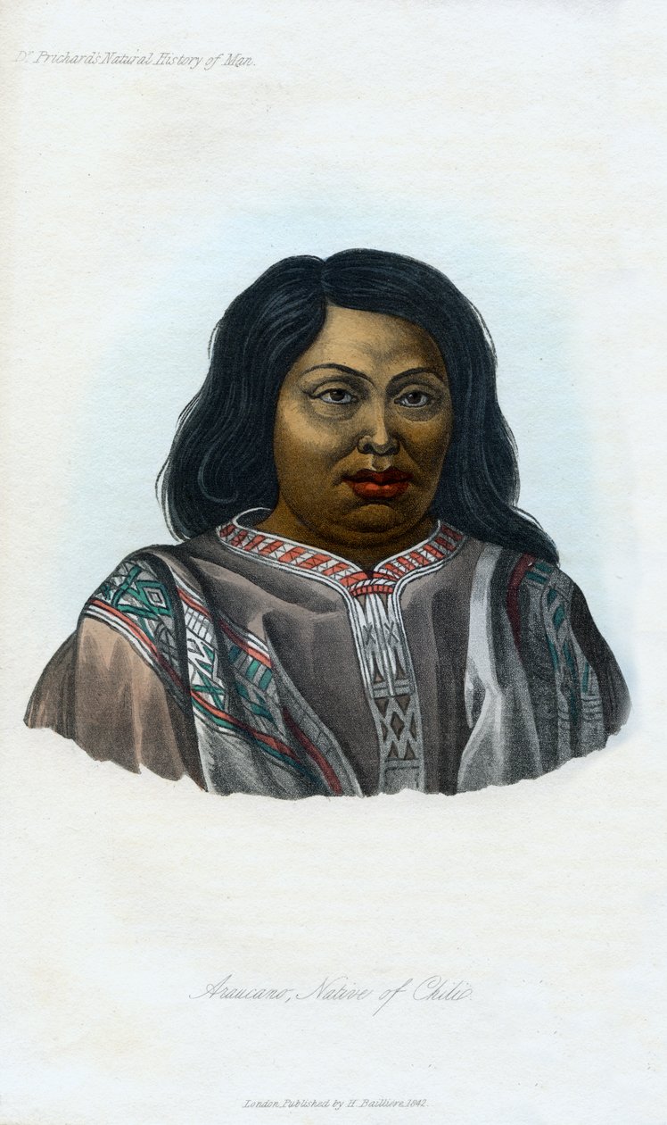 Araucano, Nativo do Chile, 1848 de Unbekannt