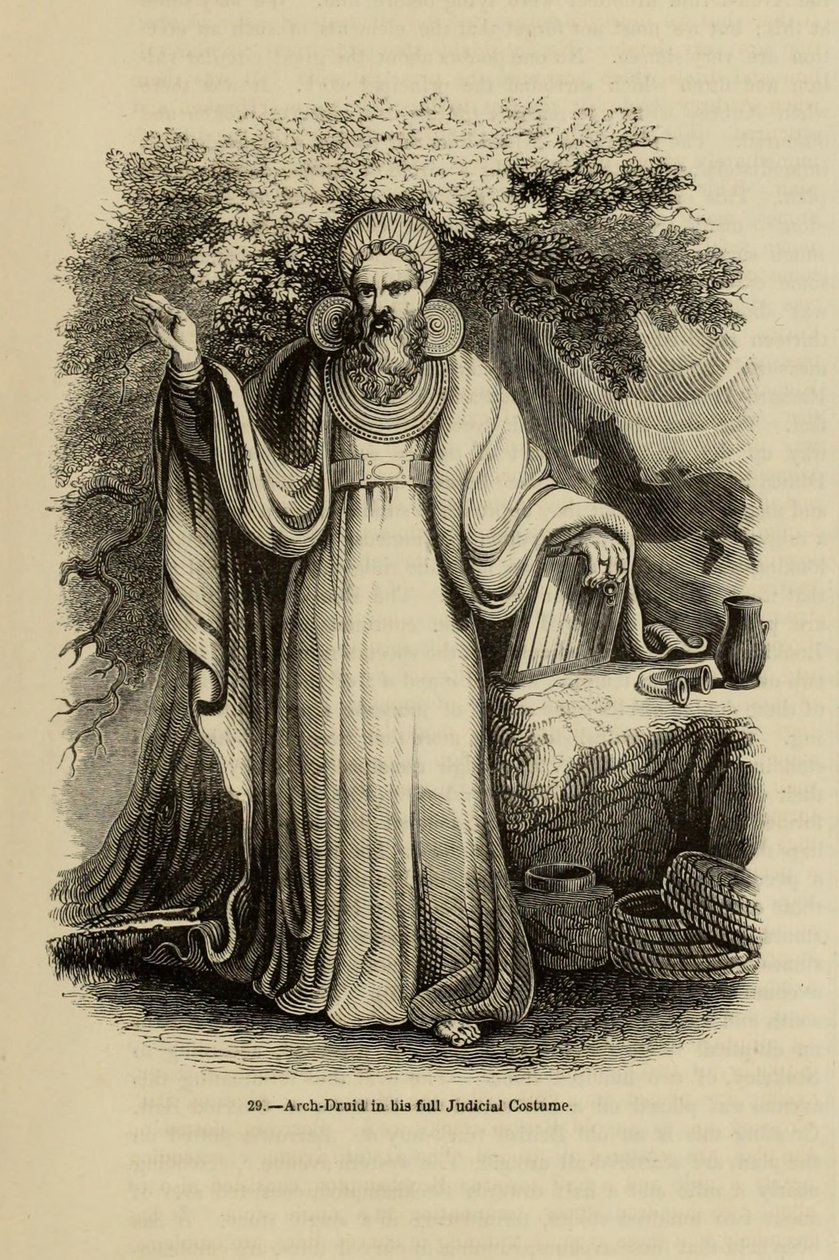 Arch-Druid em seu traje judicial completo Do livro Old England: A Pictorial Museum, 1845 de Unbekannt