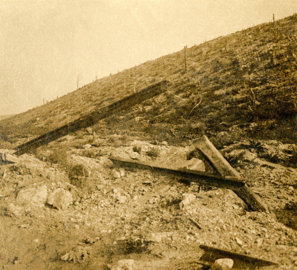 Área em torno do forte de Douaumont, norte da França, c1914-c1918 de Unbekannt