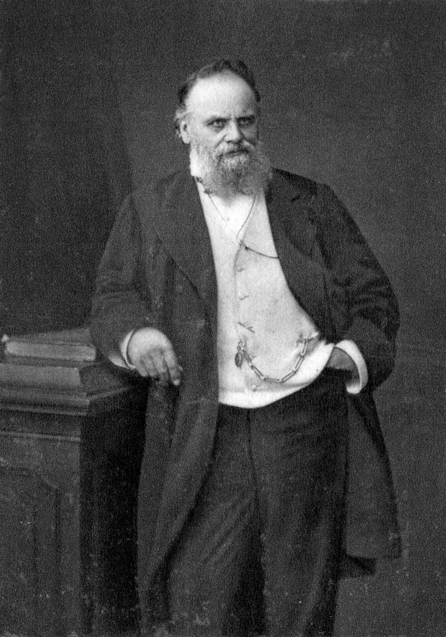 Aristide Boucicaut, varejista francês, 1874 de Unbekannt