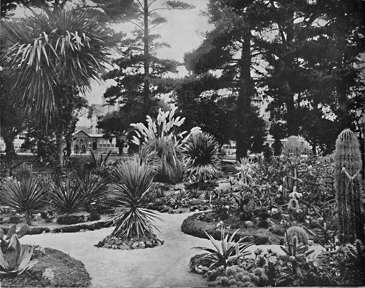 Jardim do Arizona. Monterey, Cal., C1897. de Unbekannt