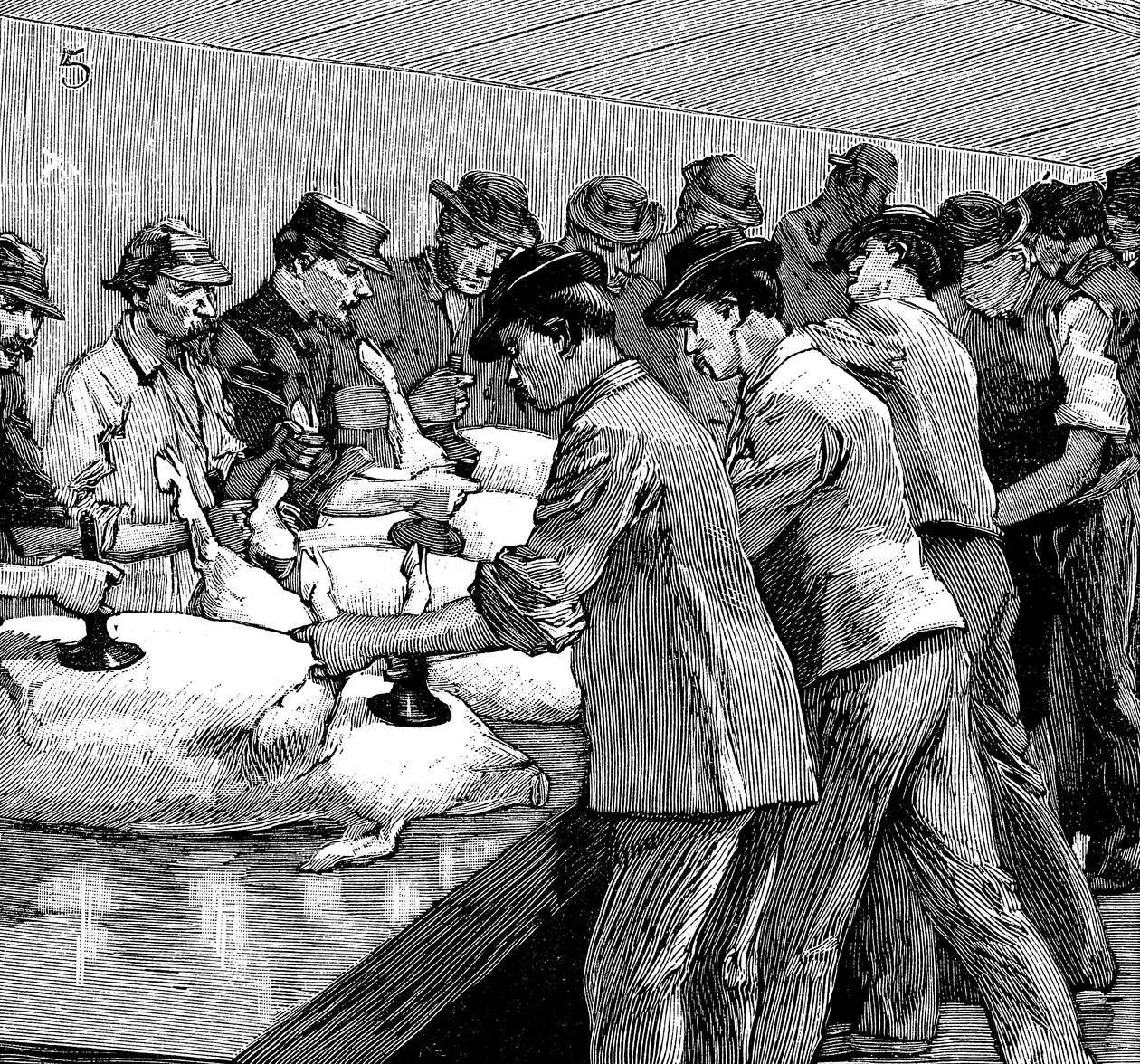 Matadouro de porcos da Armour Company, Chicago, Illinois, EUA, 1892 de Unbekannt