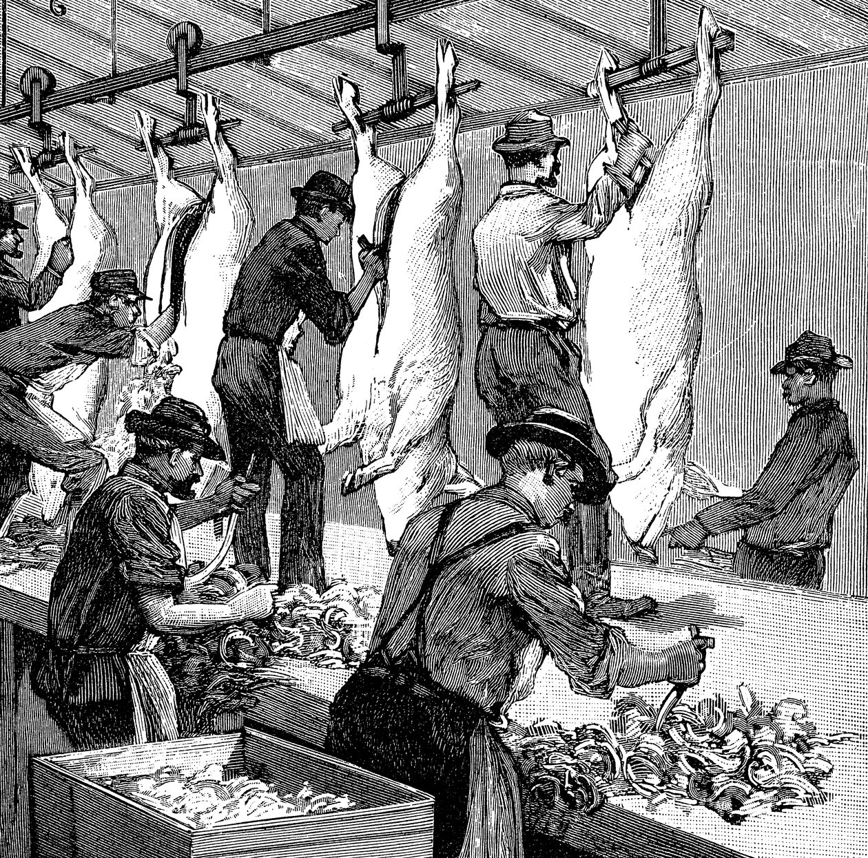 Matadouro de porcos da Armour Company, Chicago, Illinois, EUA, 1892 de Unbekannt