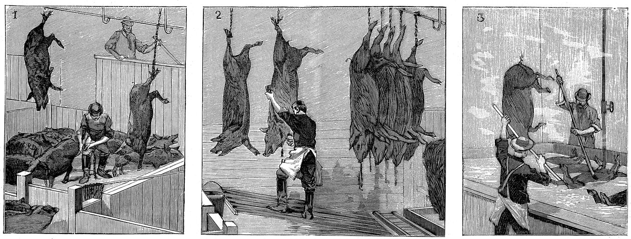 Matadouro de porcos da Armour Company, Chicago, Illinois, EUA, 1892 de Unbekannt