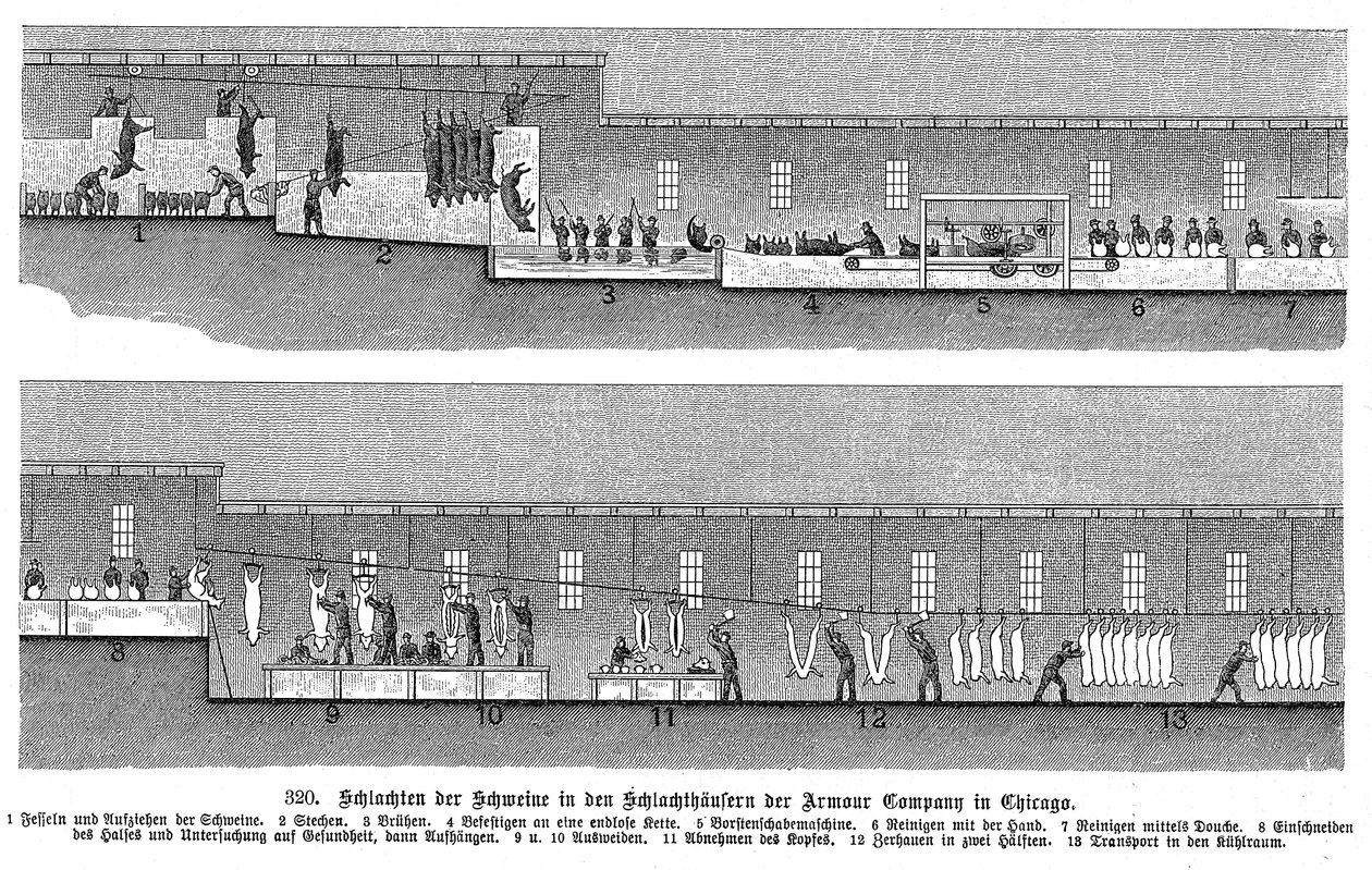 Matadouro de porcos da Armour Company, Chicago, Illinois, EUA, 1895 de Unbekannt