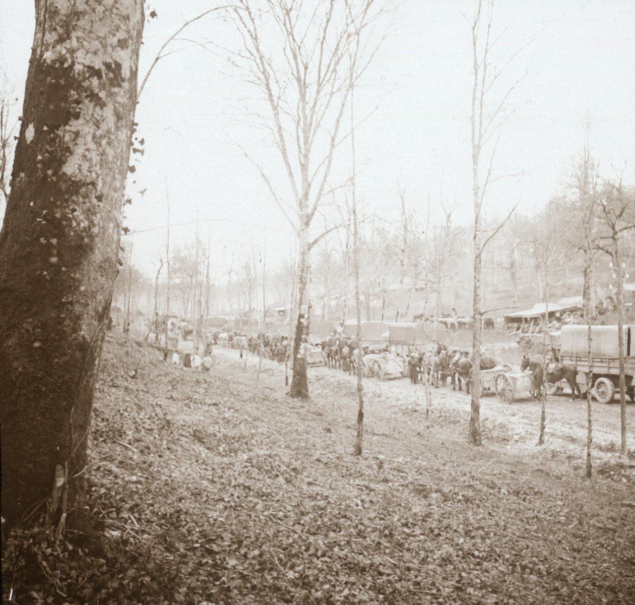 Artilharia, Somme, norte da França, c1914-c1918 de Unbekannt