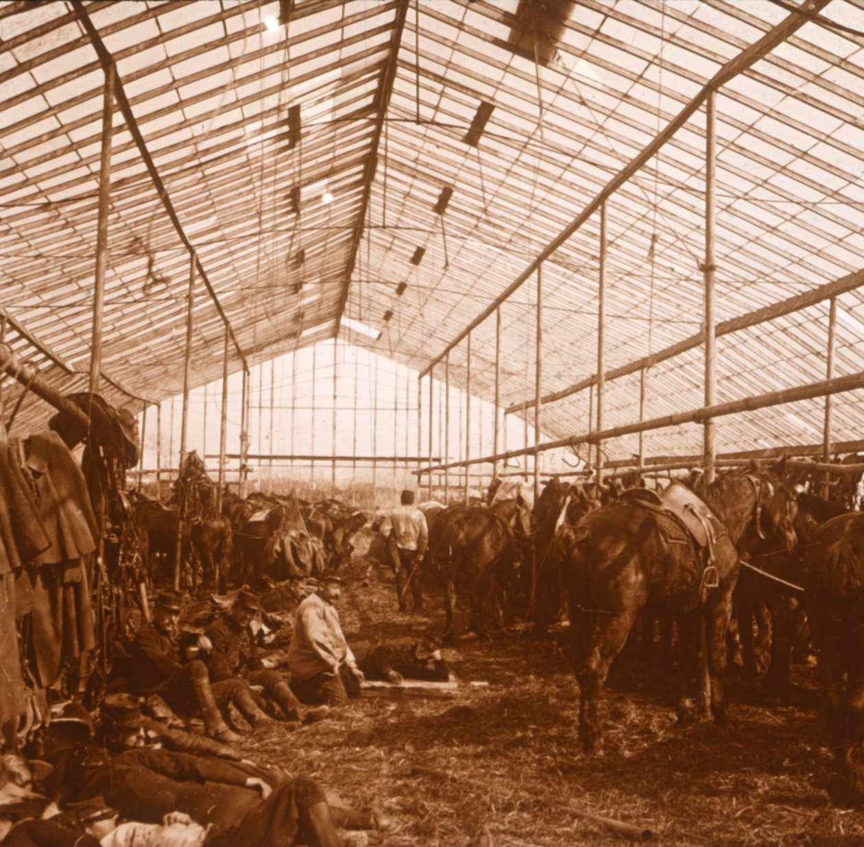 Cavalos de artilharia, c1914-c1918 de Unbekannt