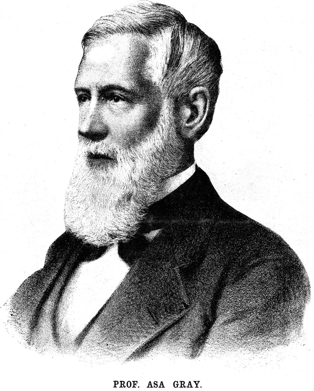 Asa Grey, botânica americana, 1888 de Unbekannt
