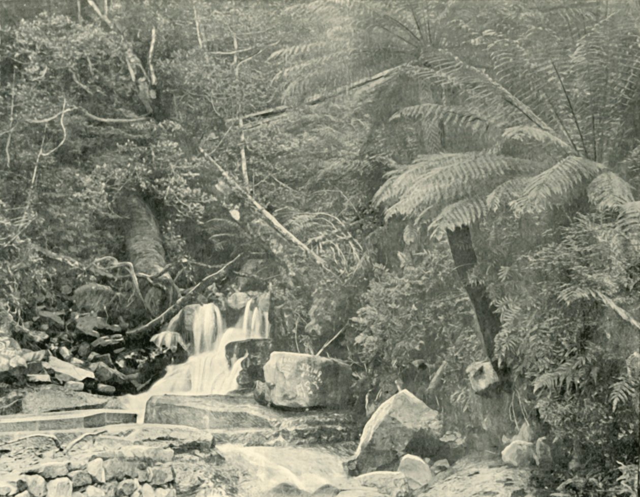 Em St. Crispins Well, 1901. de Unbekannt