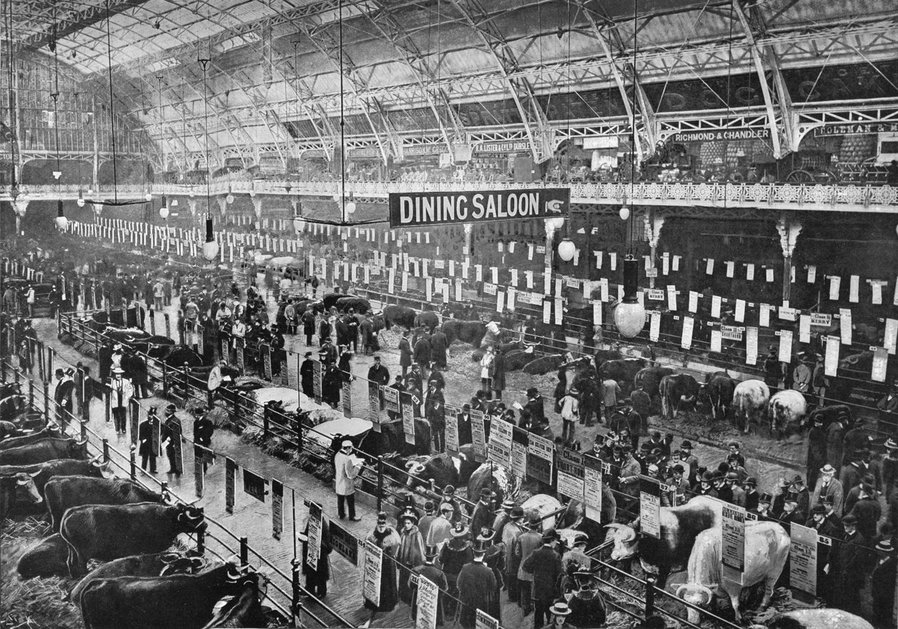 No show de gado do Smithfield Club, Agricultural Hall, Islington, Londres, 1902 1903 de Unbekannt