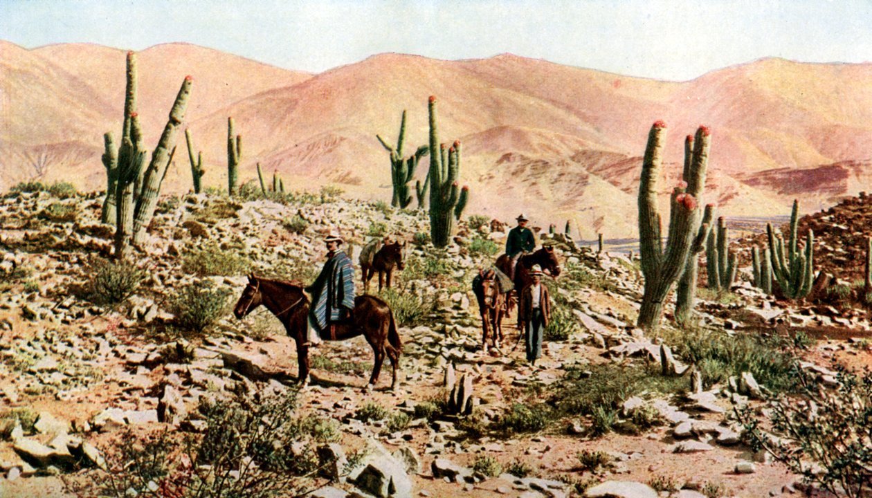 Deserto de Atacama, norte do Chile, América do Sul, c1923 de Unbekannt