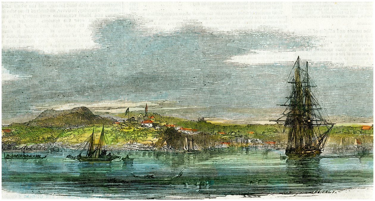 Auckland, Nova Zelândia, c1880 de Unbekannt
