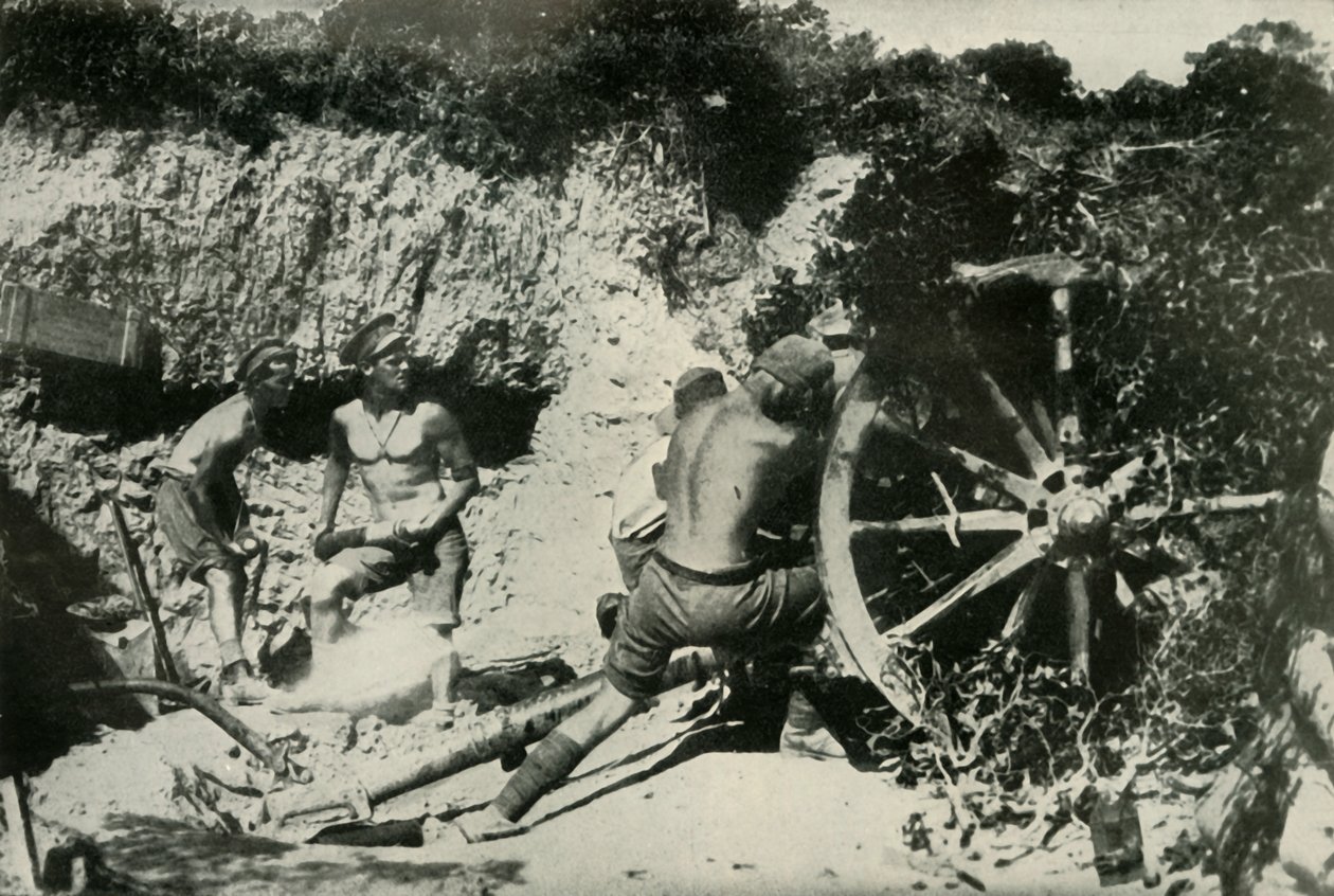 Artilheiros australianos na Península Gallipoli, 1919. de Unbekannt