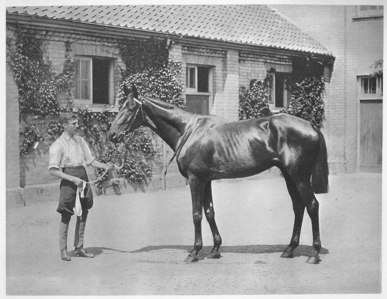 Estrela Australiana, 1911 de Unbekannt