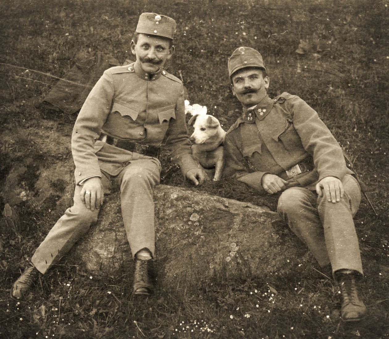 Soldados austríacos com um cão de Unbekannt