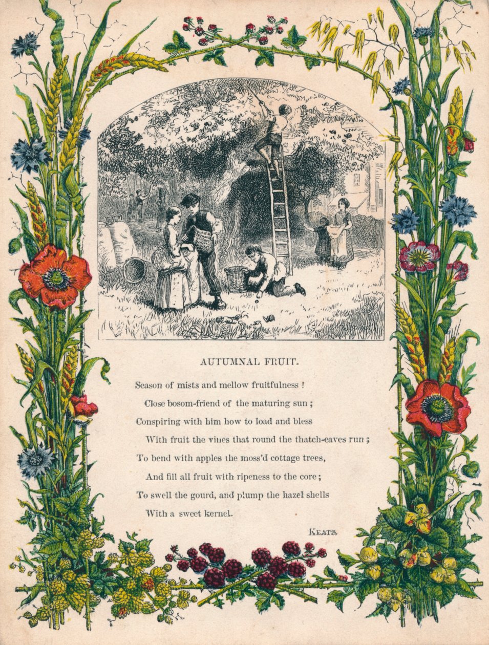 Frutas outonais por Keats, c1900 de Unbekannt