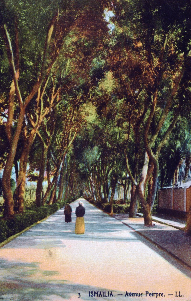 Avenue Poirpre, Ismaília, Egito, c1900 de Unbekannt