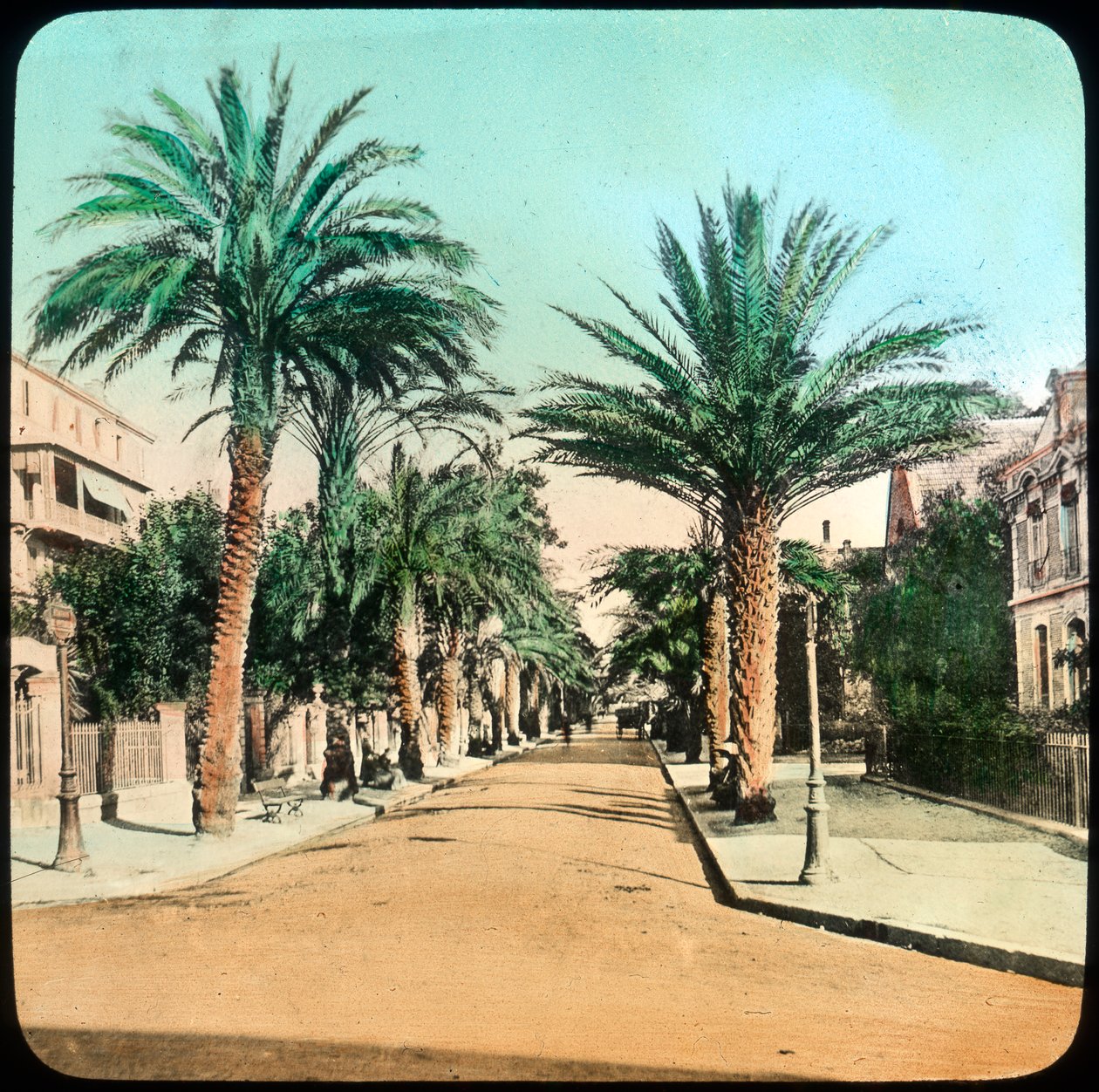Avenue of Palms, Hyères, França, final do século XIX ou início do século XX de Unbekannt
