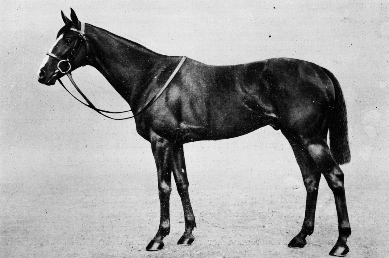 Solteiros, 1911 de Unbekannt