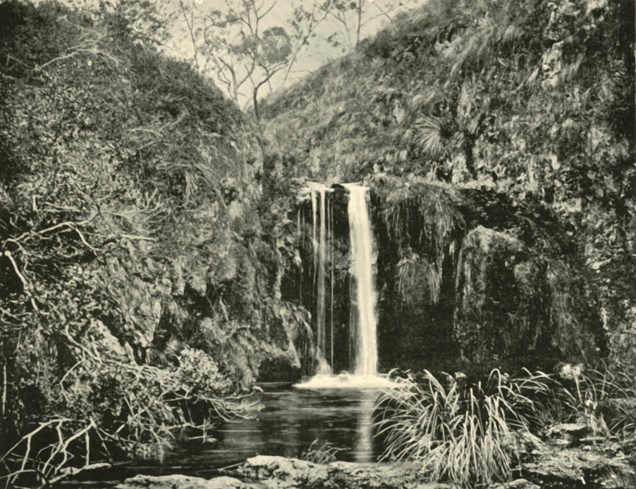 Quedas traseiras da angra, rio de Buchan, Victoria, 1901. de Unbekannt