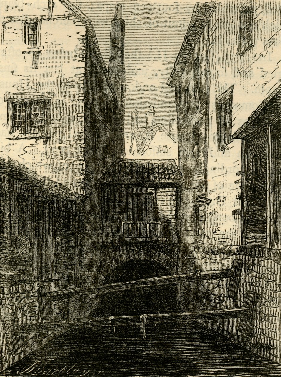 Parte traseira do leão vermelho, da frota, c1872. de Unbekannt