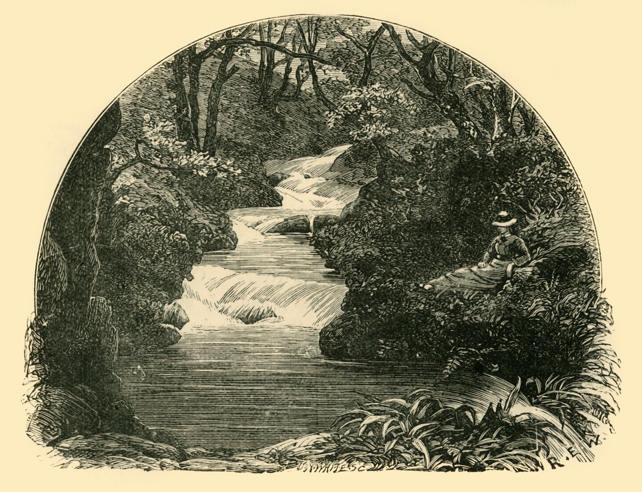 Escorregador de água Bagworthy, 1898. de Unbekannt