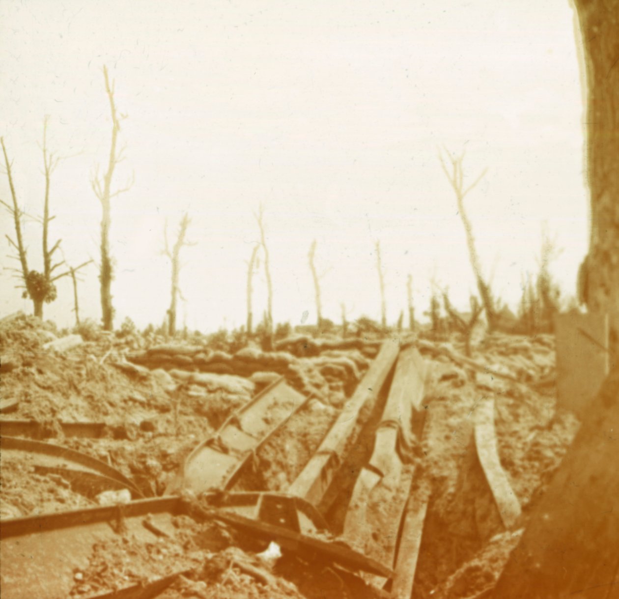Margens do rio Yser, Diksmuide, Bélgica, c1914-c1918 de Unbekannt