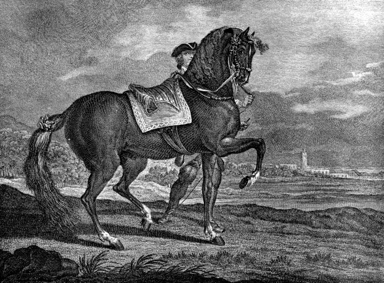 Barb, 1722 1938 de Unbekannt