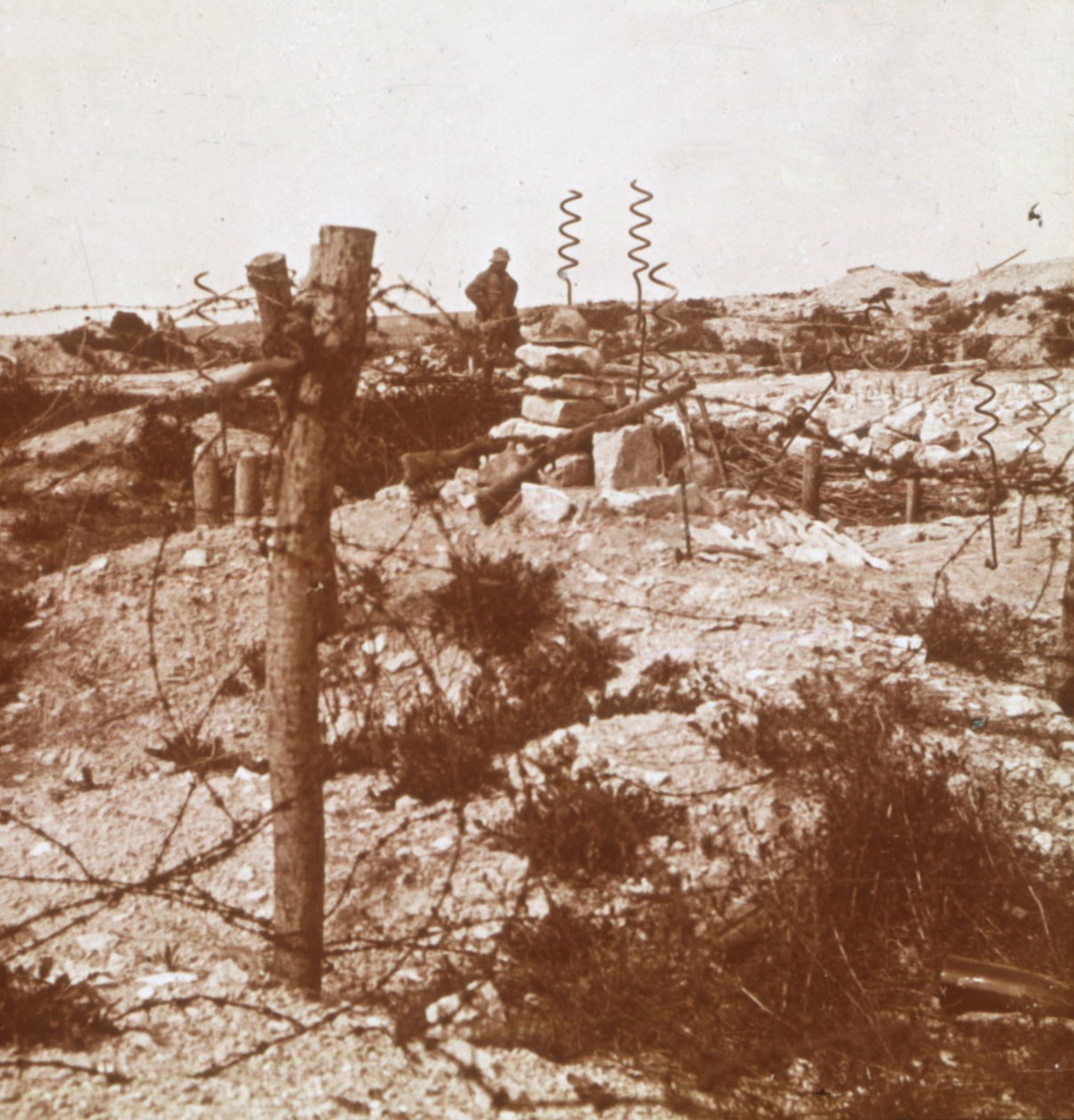 Arame farpado, Craonne, norte da França, c1914-c1918 de Unbekannt
