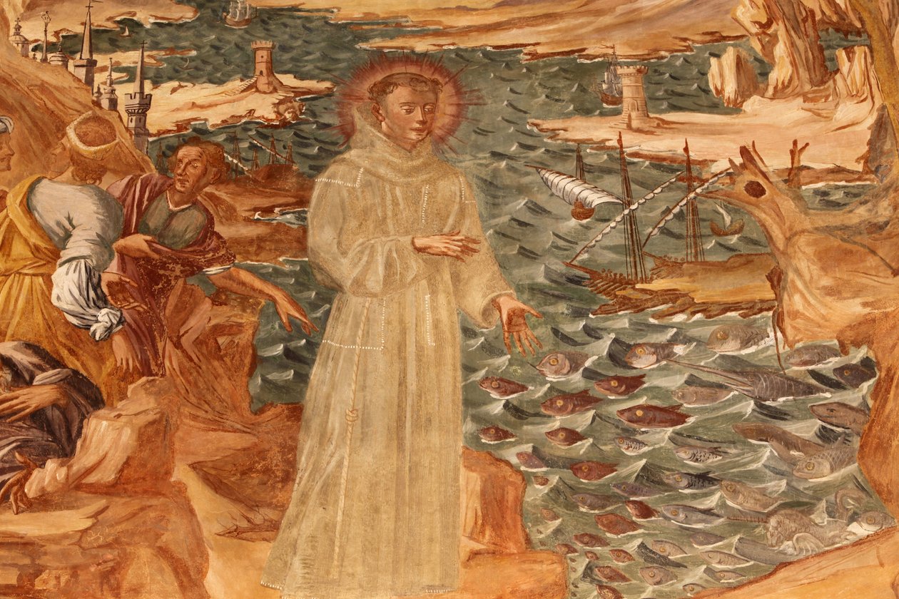 Basílica de Santa Caterina, Galatina, Apúlia Fresco no claustro : Pregação de Santo António aos peixes Pintada por BrJoseph de Gravina em 1696, Galatina, Itália de Unbekannt