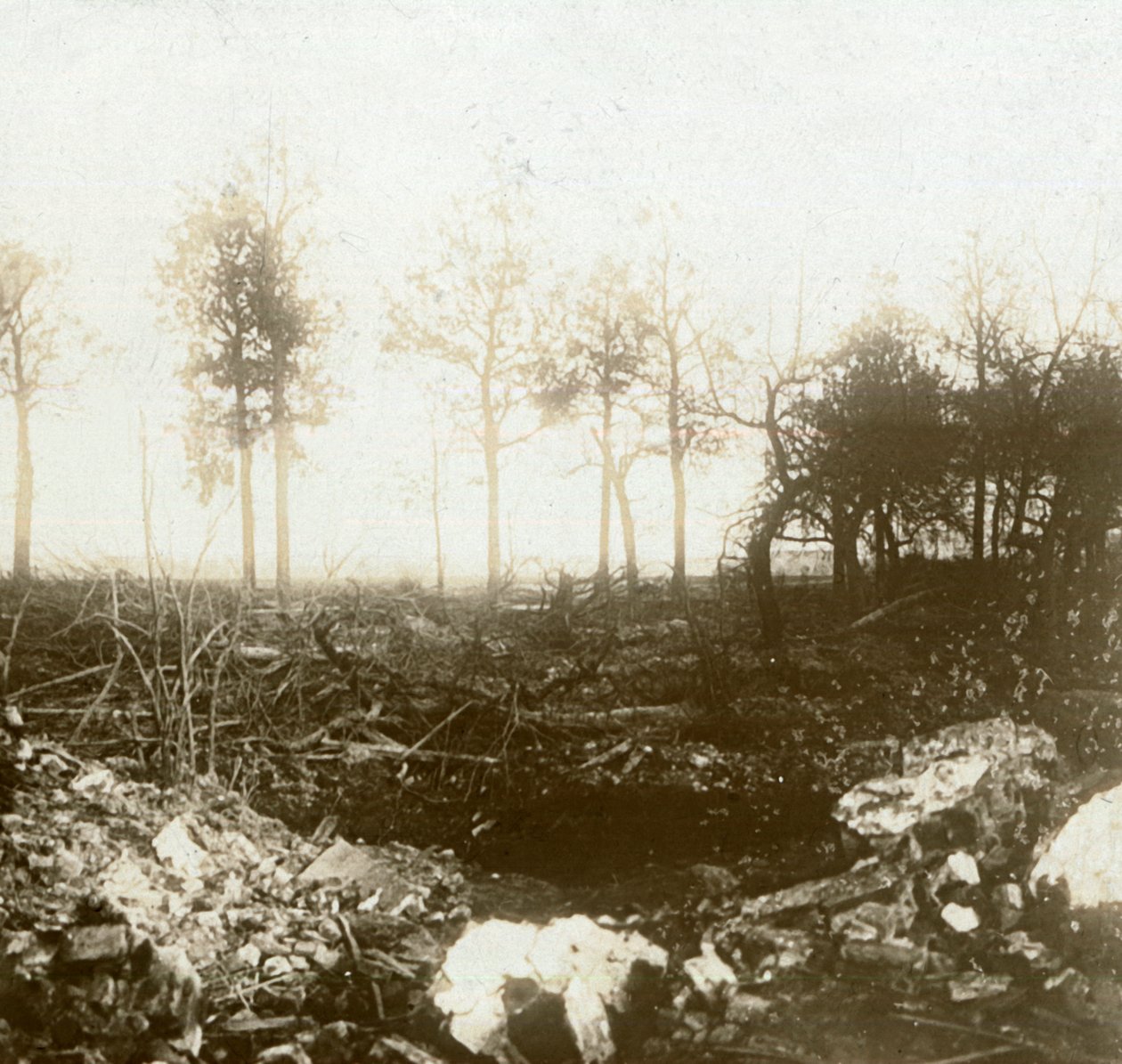 Campo de batalha, Roeselare, Flandres, Bélgica, c1914-c1918 de Unbekannt